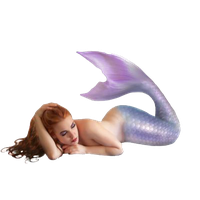 Mermaid PNG Category