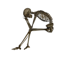 Skeleton PNG Category