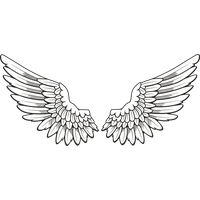 Wings PNG Category