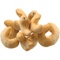 Cashew PNG Category