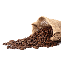 Coffee Beans PNG Category