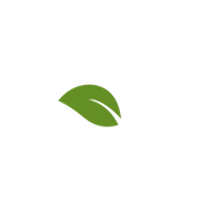 Leaf PNG Category