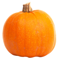 Pumpkin PNG Category