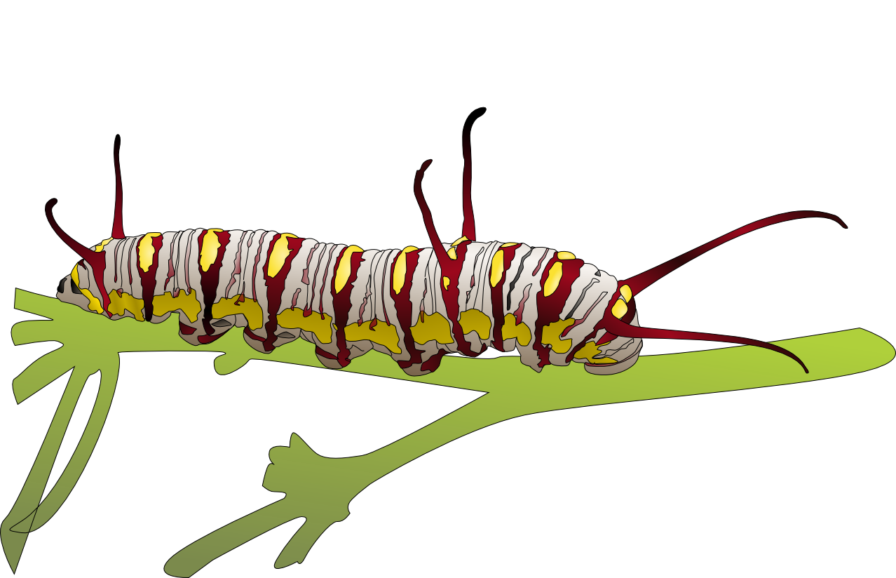 Caterpillar Free Png Image Transparent PNG Image