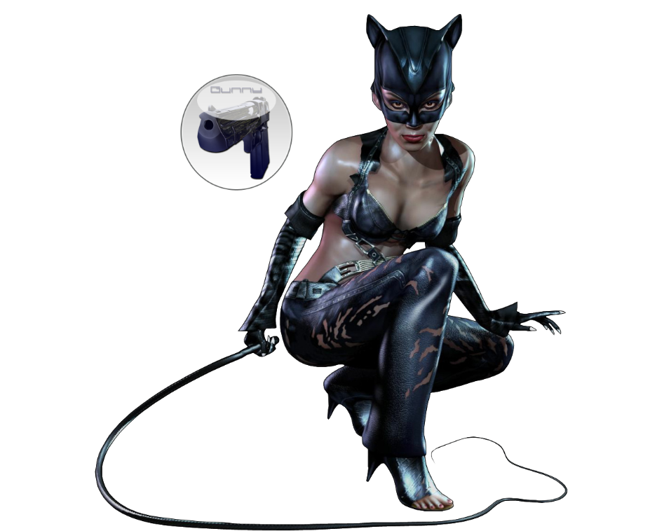 Catwoman Png Image Transparent PNG Image