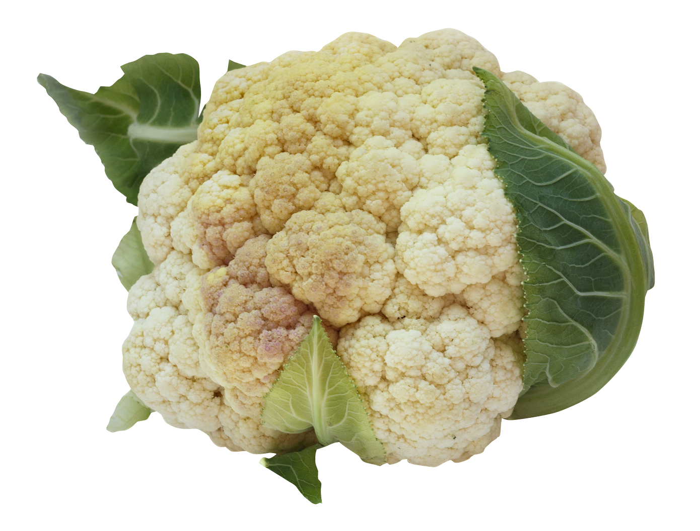 Cauliflower Image Transparent PNG Image