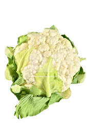 Cauliflower File Transparent PNG Image