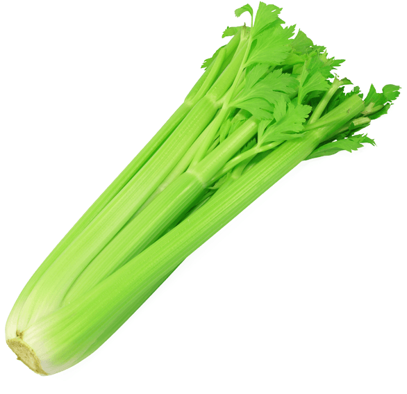 Celery Fresh Green Download Free Image Transparent PNG Image