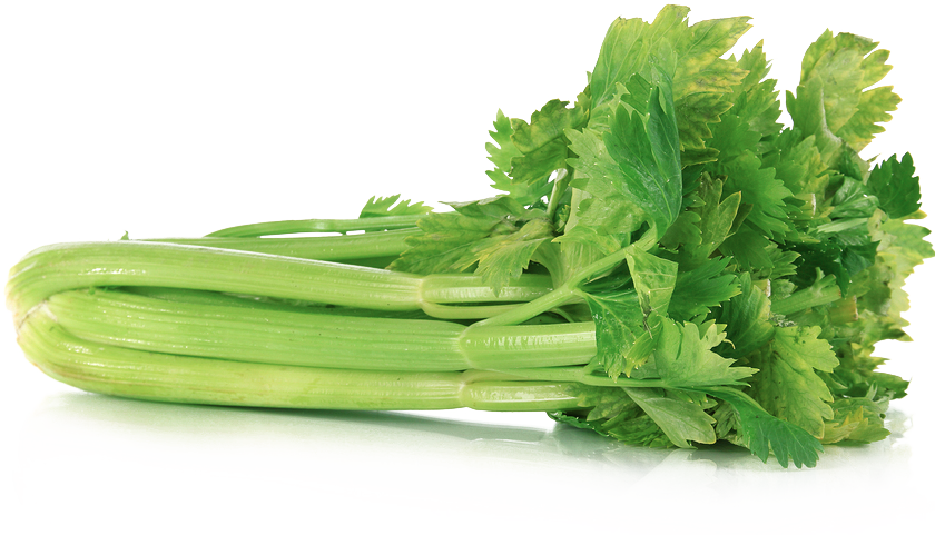 Celery Fresh Green Free HQ Image Transparent PNG Image