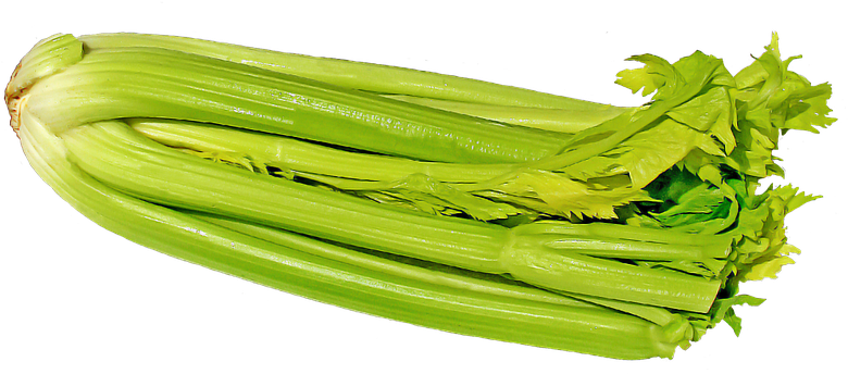 Celery Fresh Green HQ Image Free Transparent PNG Image