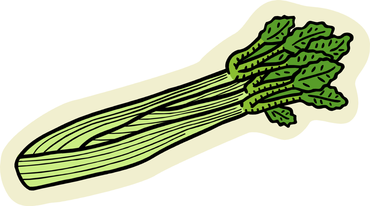 Celery Green Download HD Transparent PNG Image