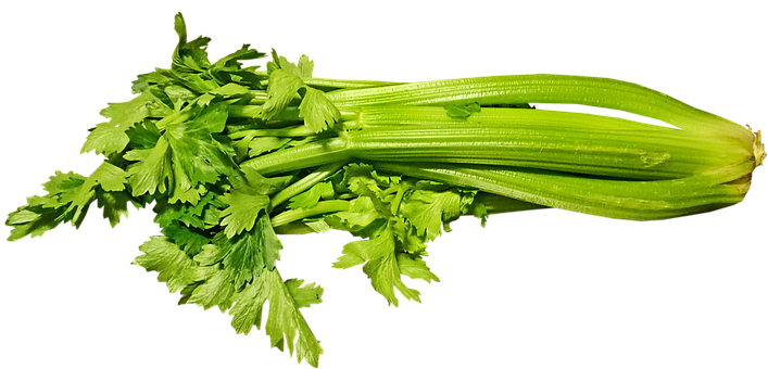 Celery Green Free PNG HQ Transparent PNG Image