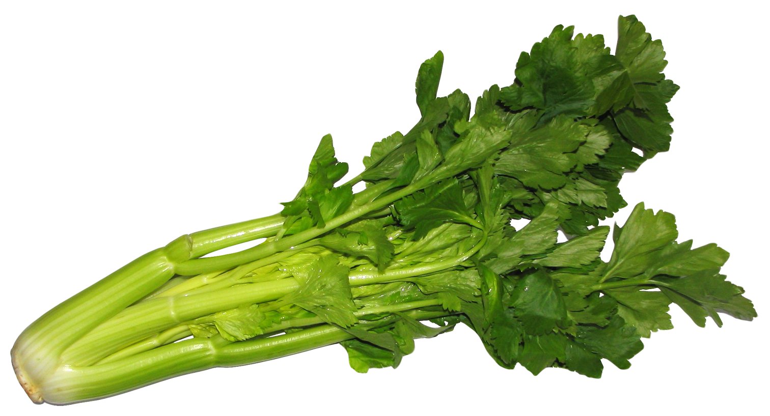 Celery Pic Green Free PNG HQ Transparent PNG Image