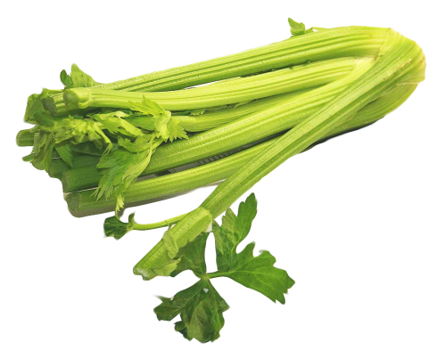 Celery Green Free Transparent Image HQ Transparent PNG Image