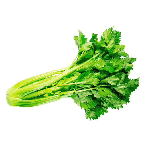 Celery Green Free PNG HQ Transparent PNG Image