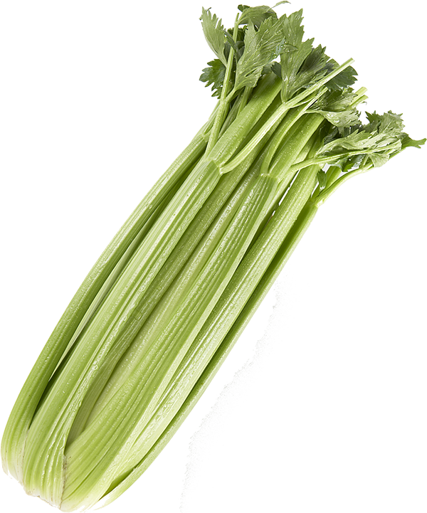 Celery Green Organic Free Download PNG HQ Transparent PNG Image