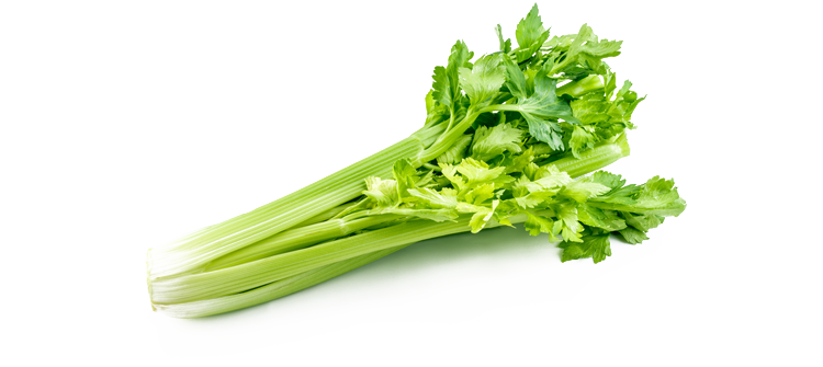 Celery Green Organic Free Download Image Transparent PNG Image