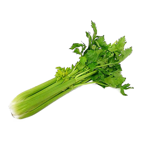 Celery Green Organic Download Free Image Transparent PNG Image