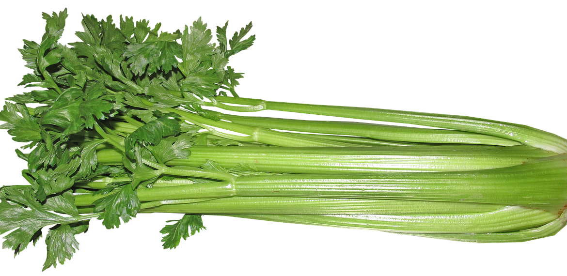 Celery Sticks Bunch Download HQ Transparent PNG Image