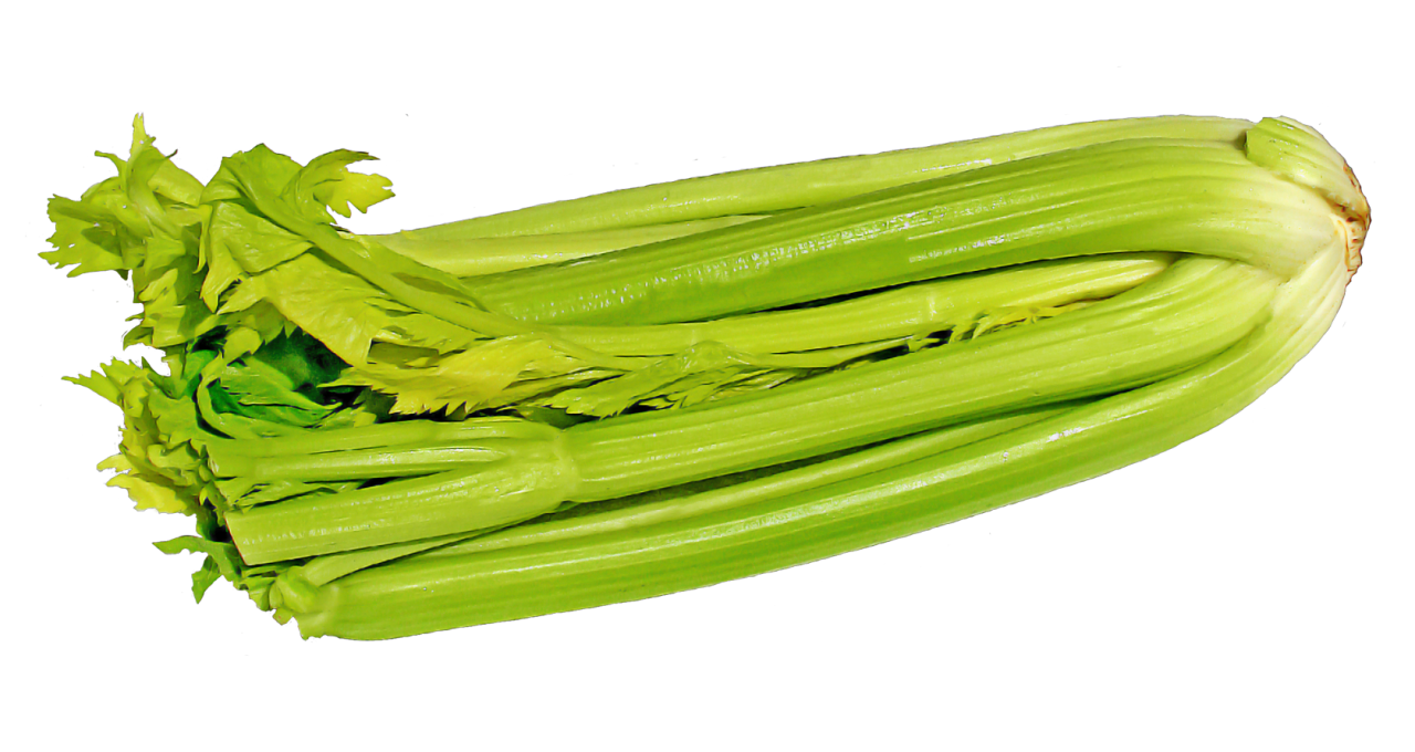 Celery Sticks Bunch Free Clipart HQ Transparent PNG Image