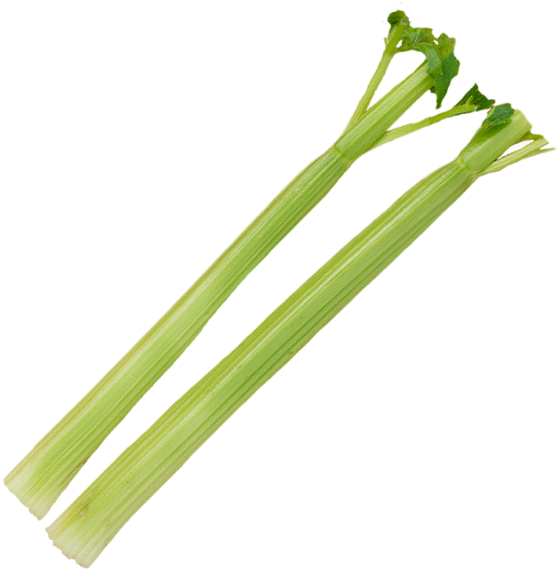 Celery Fresh Sticks Photos Free Photo Transparent PNG Image