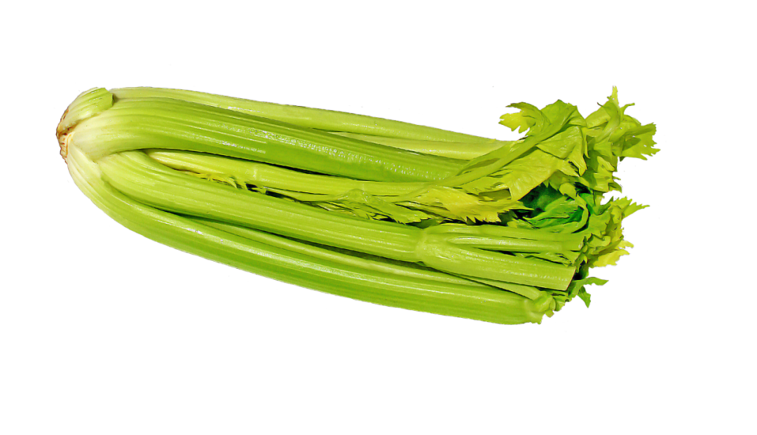 Celery Fresh Sticks PNG Download Free Transparent PNG Image