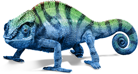 Chameleon Transparent Image Transparent PNG Image