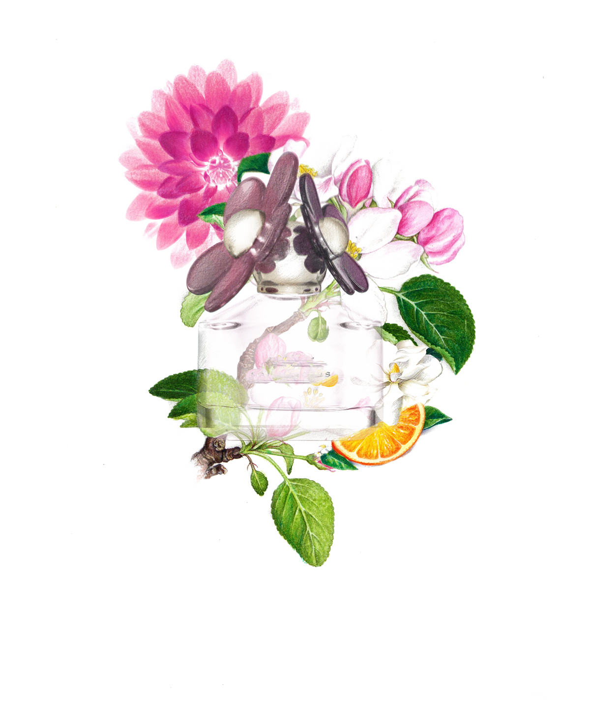 Plants No. Painting Perfume Watercolor Dior Miss Transparent PNG Image