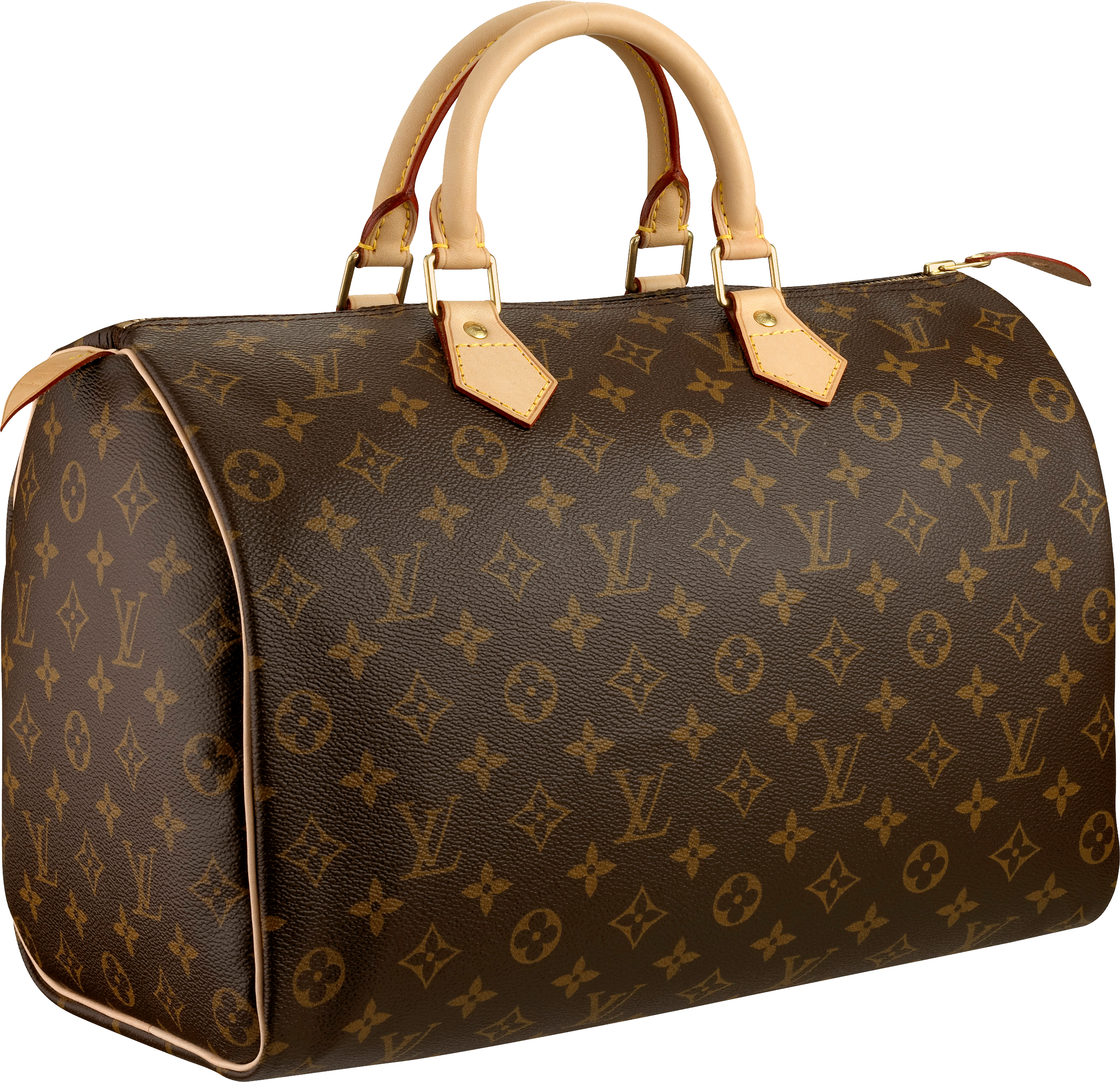 Vuitton Goods Louis Bag Fashion Luxury Handbag Transparent PNG Image