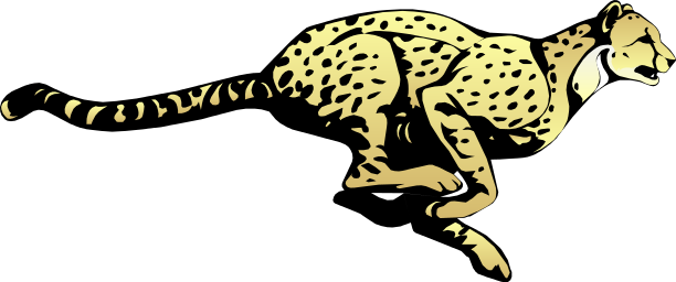 Cheetah Transparent Image Transparent PNG Image