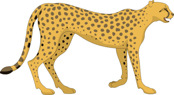 Cheetah Photos Transparent PNG Image