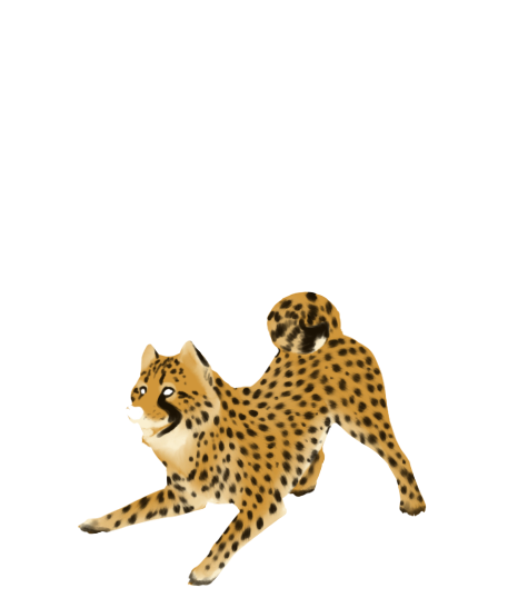 Cheetah Clipart Transparent PNG Image