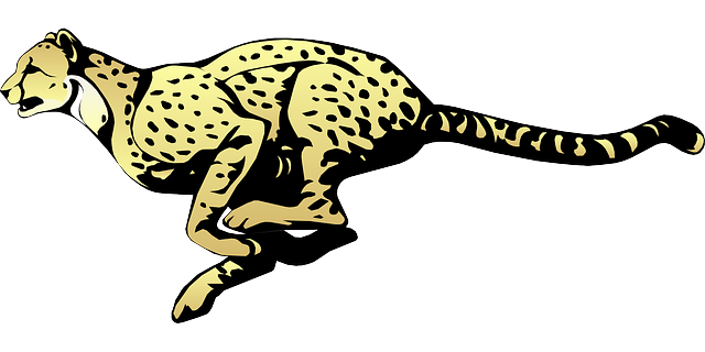 Cheetah Transparent Transparent PNG Image