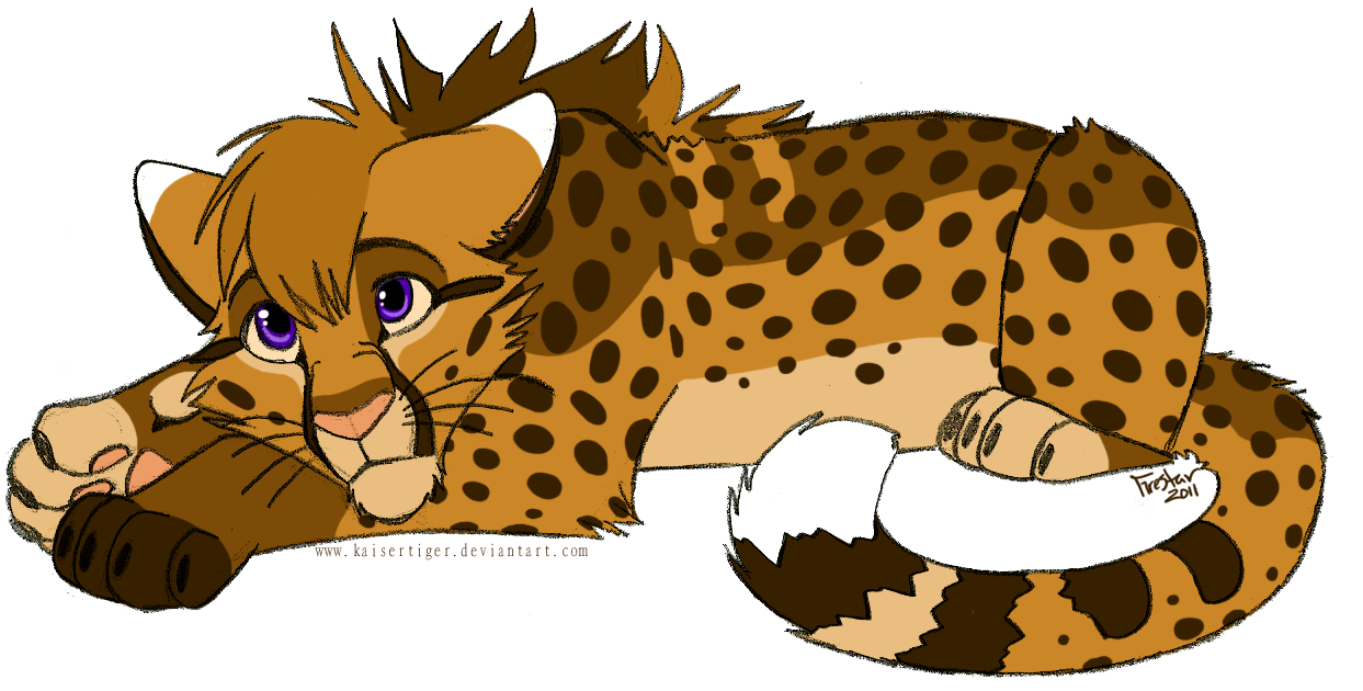 Cheetah Transparent Background Transparent PNG Image