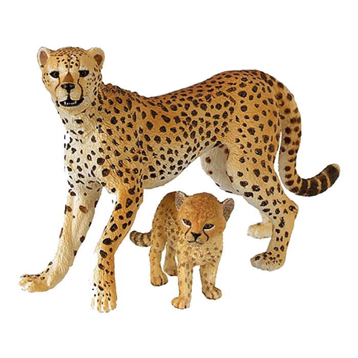 Cheetah Free Download Transparent PNG Image