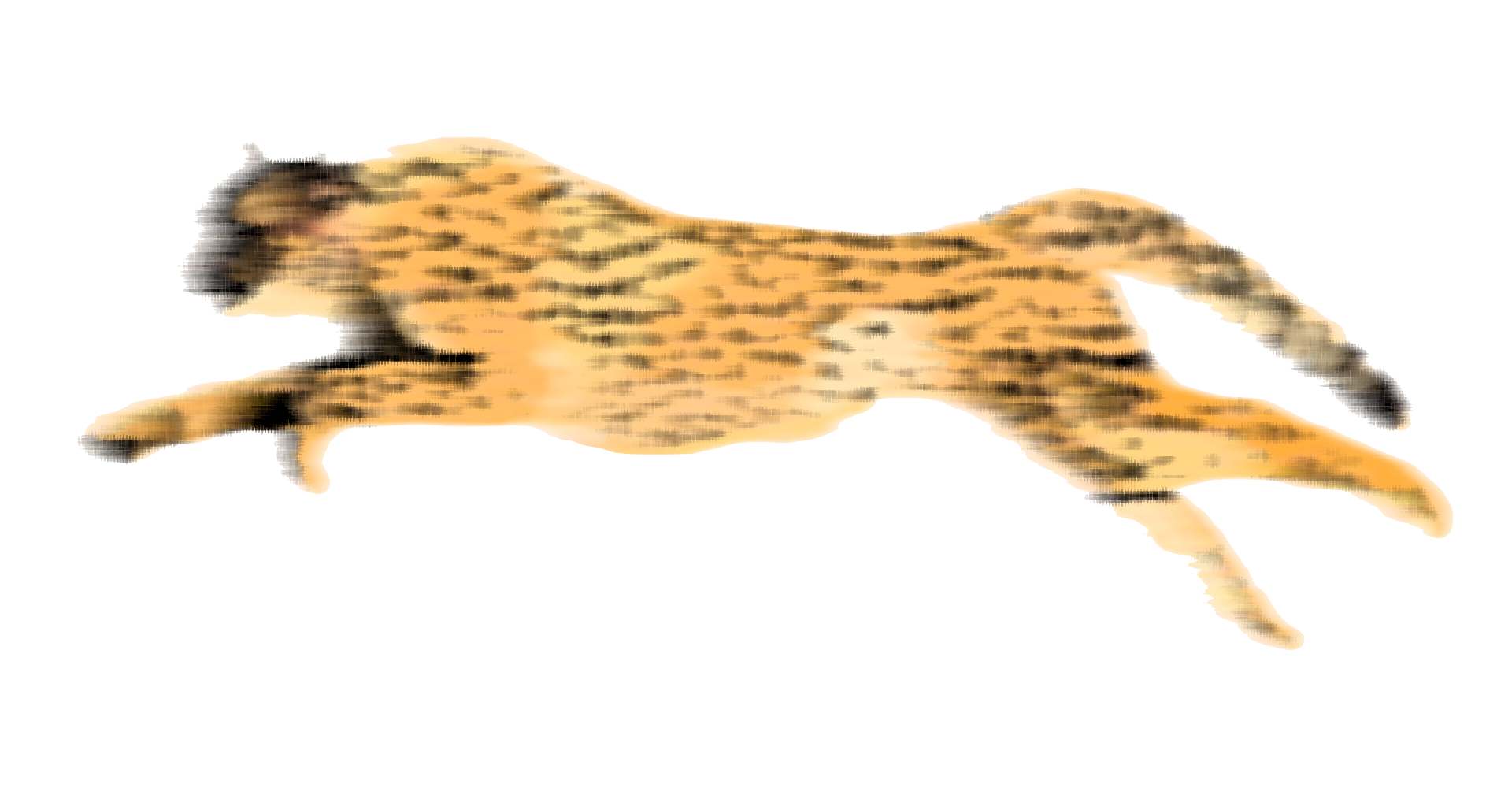 Cheetah Hd Transparent PNG Image