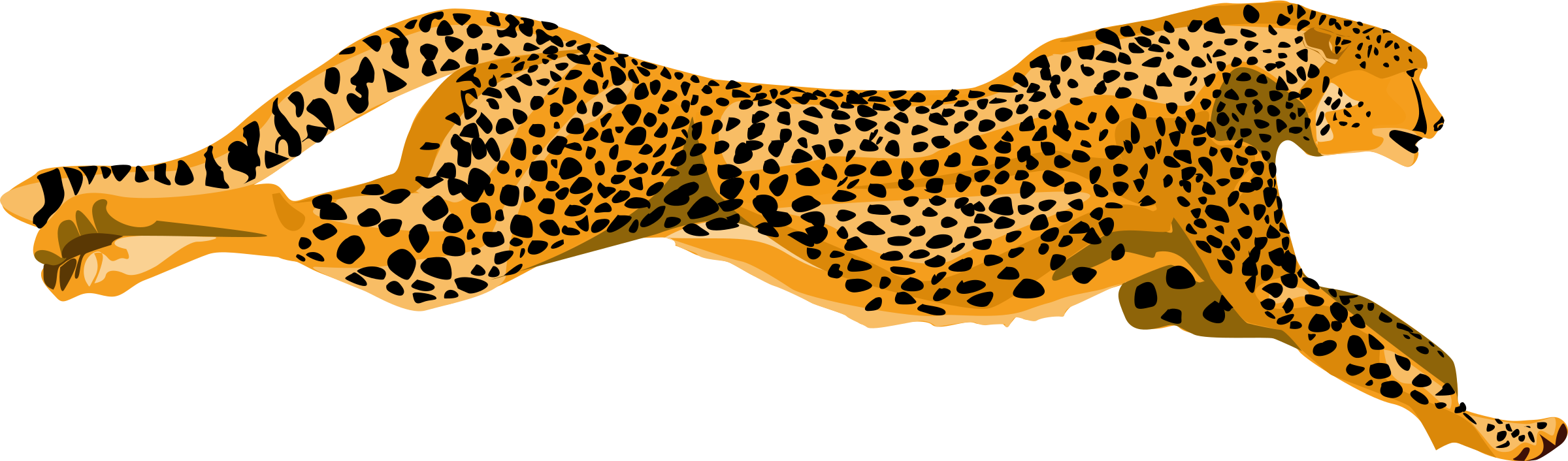 Cheetah Png Pic Transparent PNG Image