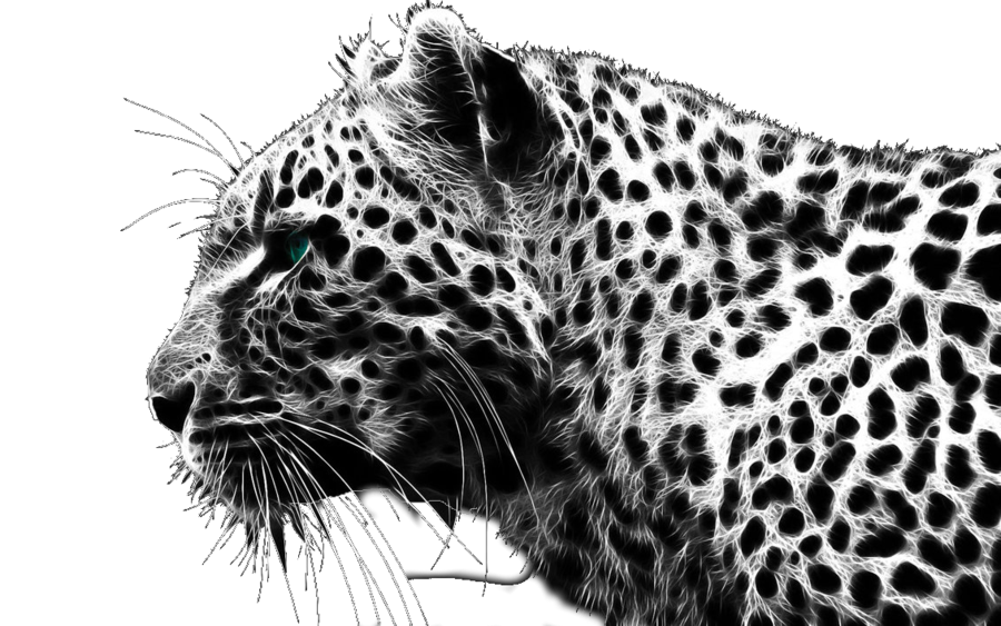 Cheetah Free Download Png Transparent PNG Image