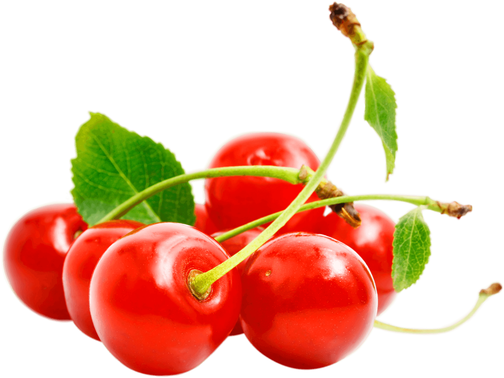 Red Cherry Png Image Download Transparent PNG Image