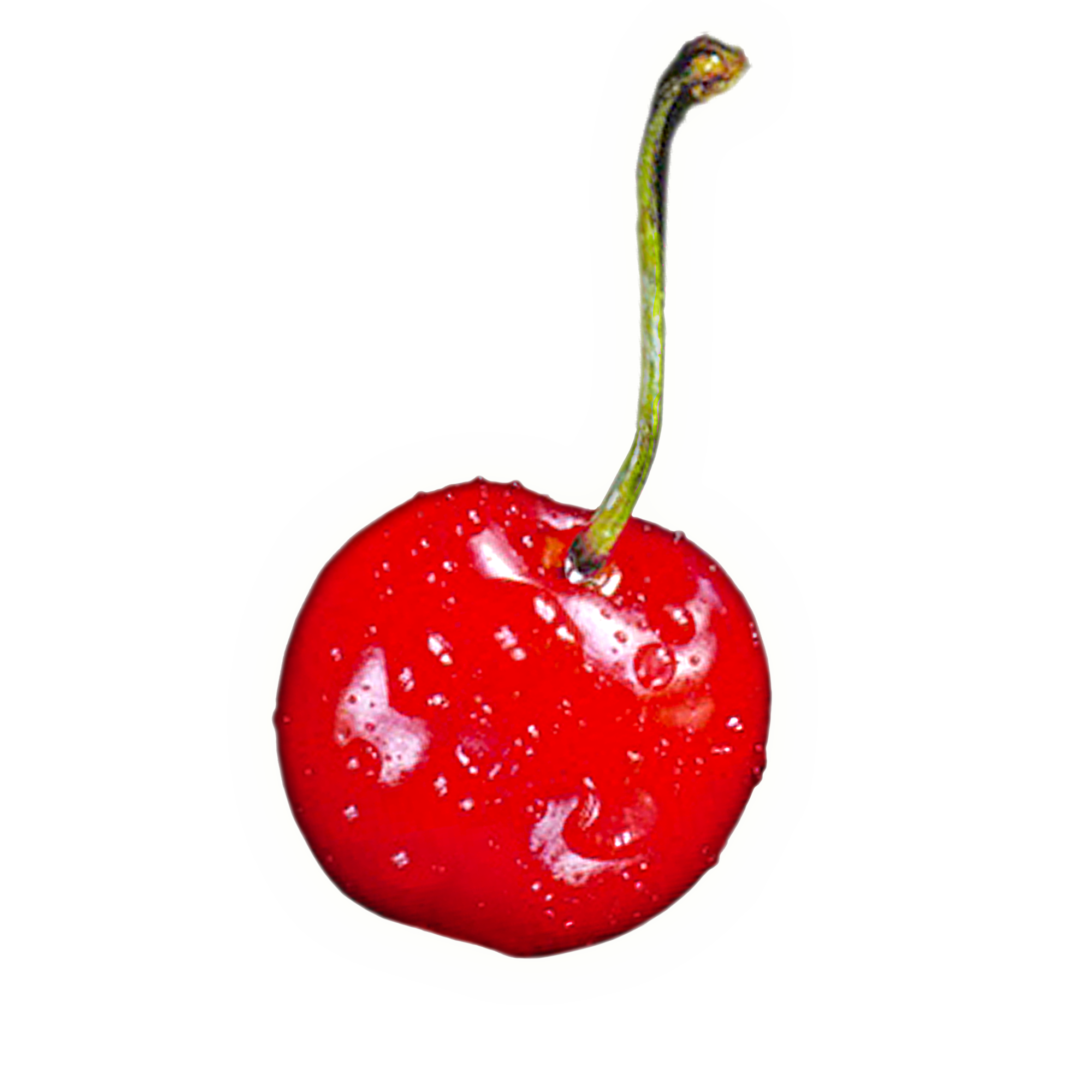 Cherry Free Download Png Transparent PNG Image