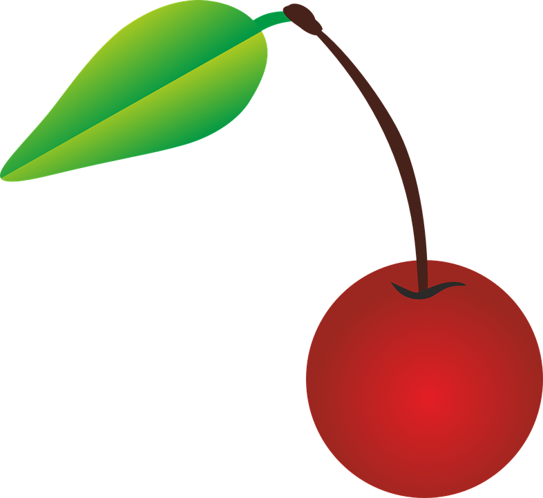 Cherry Vector Image Transparent PNG Image