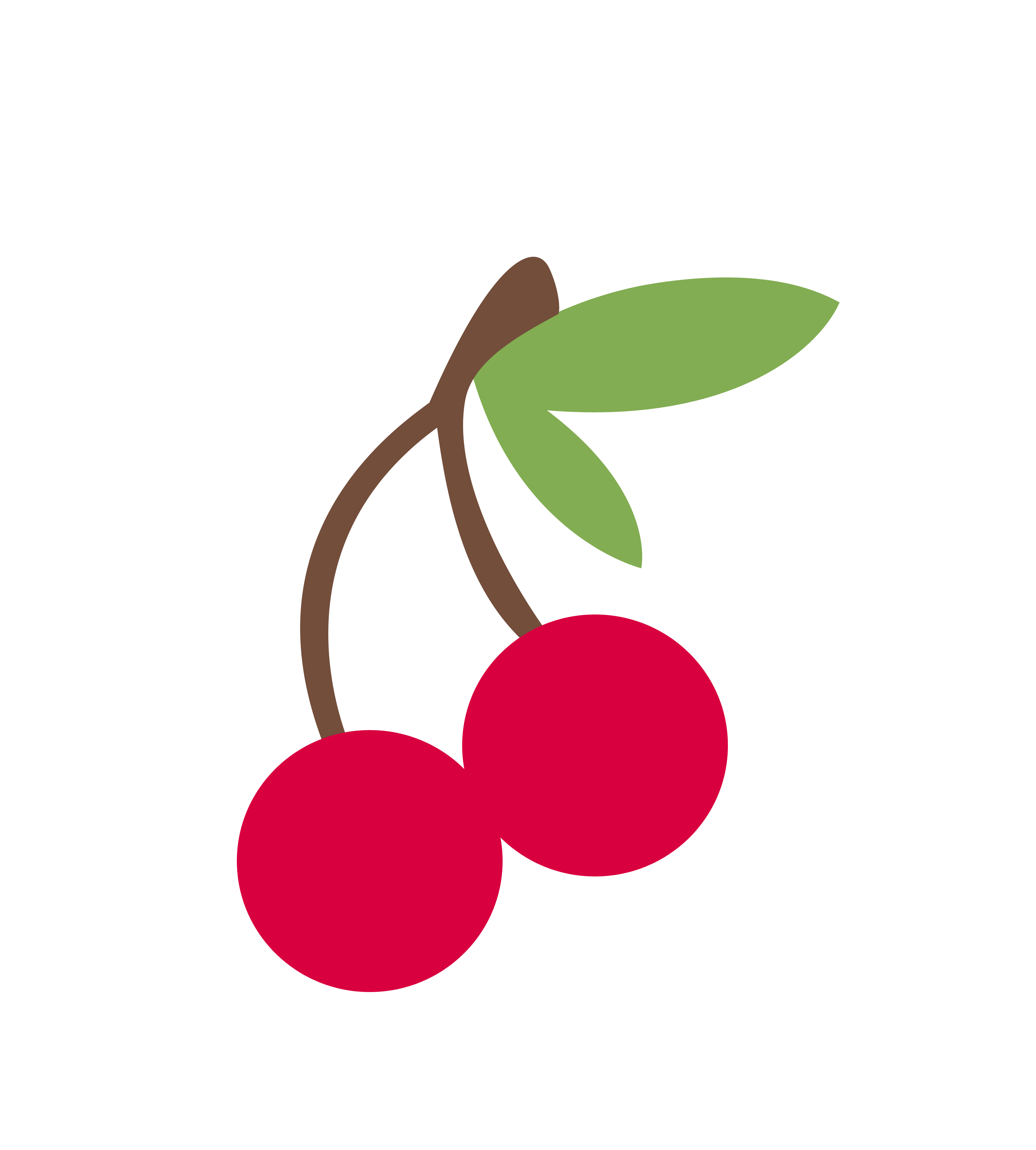 Cherry Vector Transparent Background Transparent PNG Image