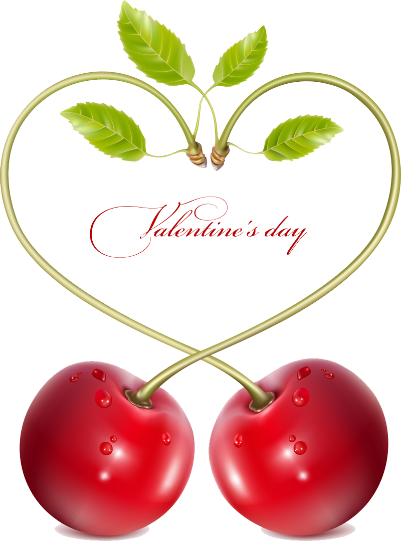 Cherry Vector Transparent PNG Image