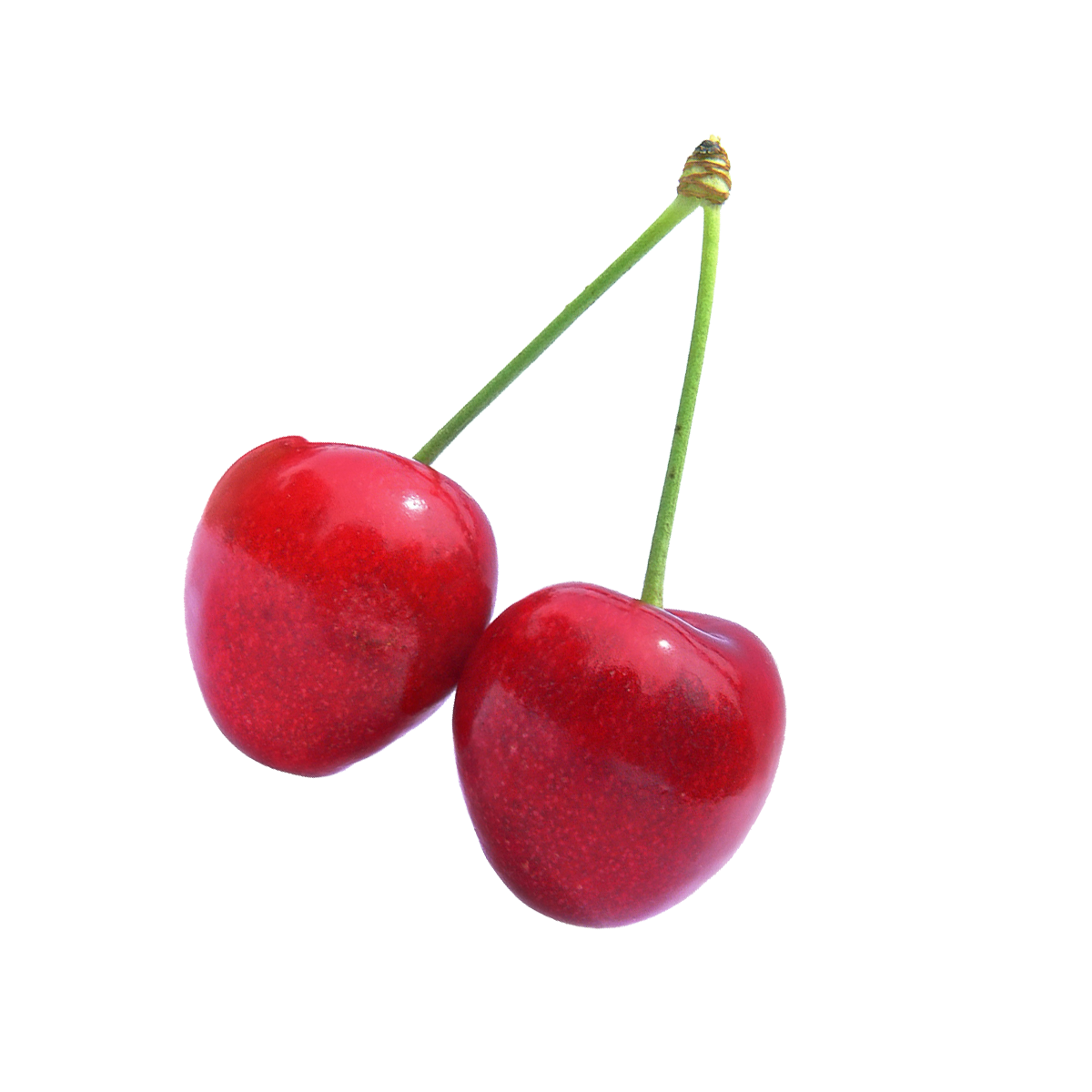 Cherry Fruit Transparent PNG Image