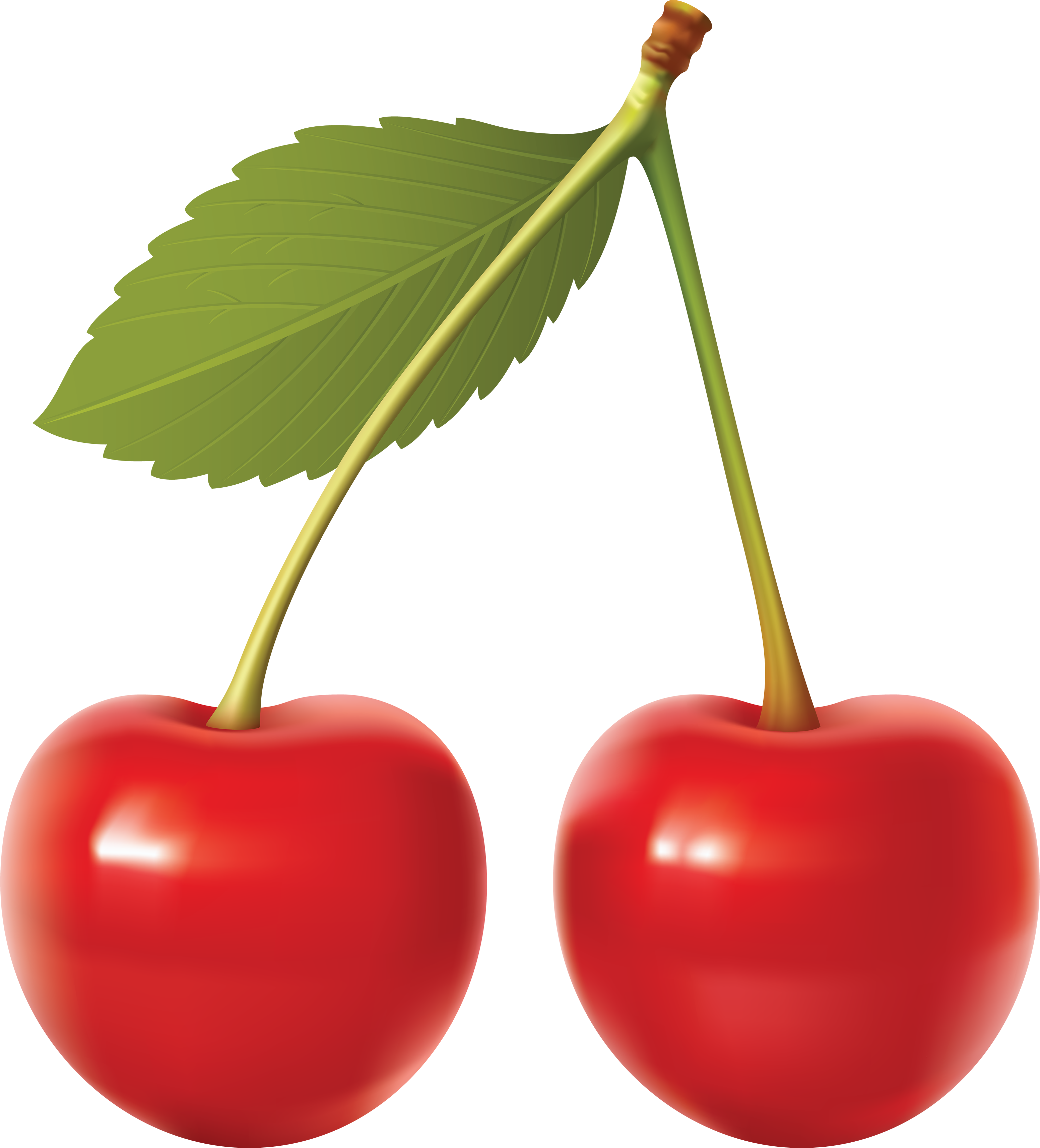 Cherry Vector File Transparent PNG Image