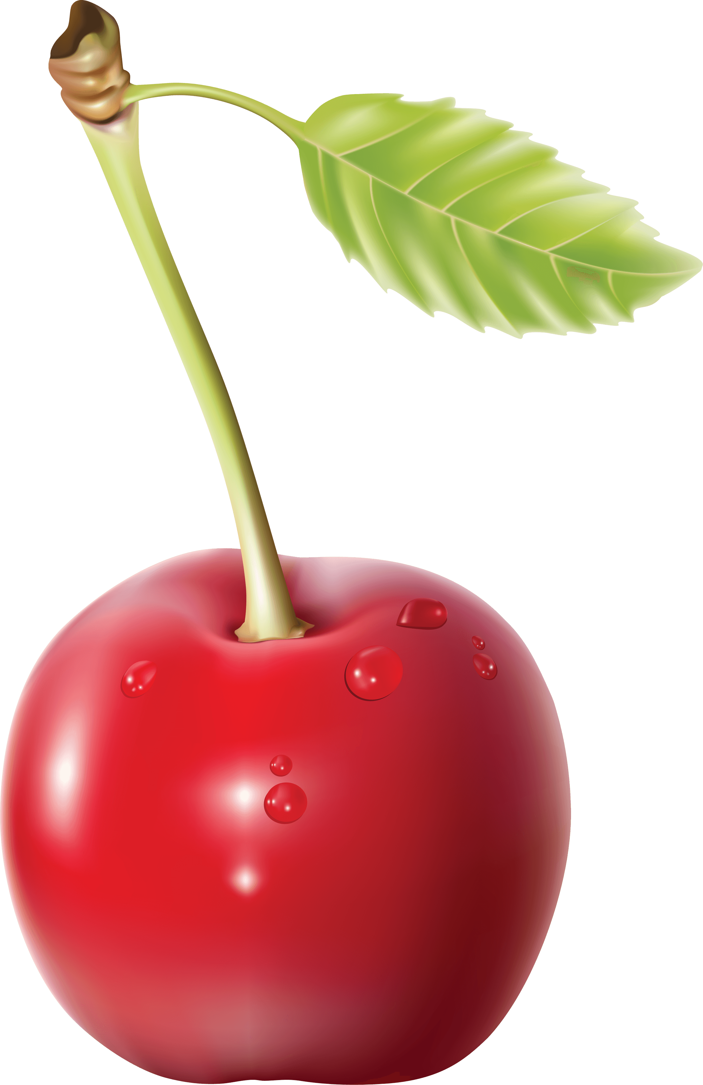 Cherry Png Image Transparent PNG Image