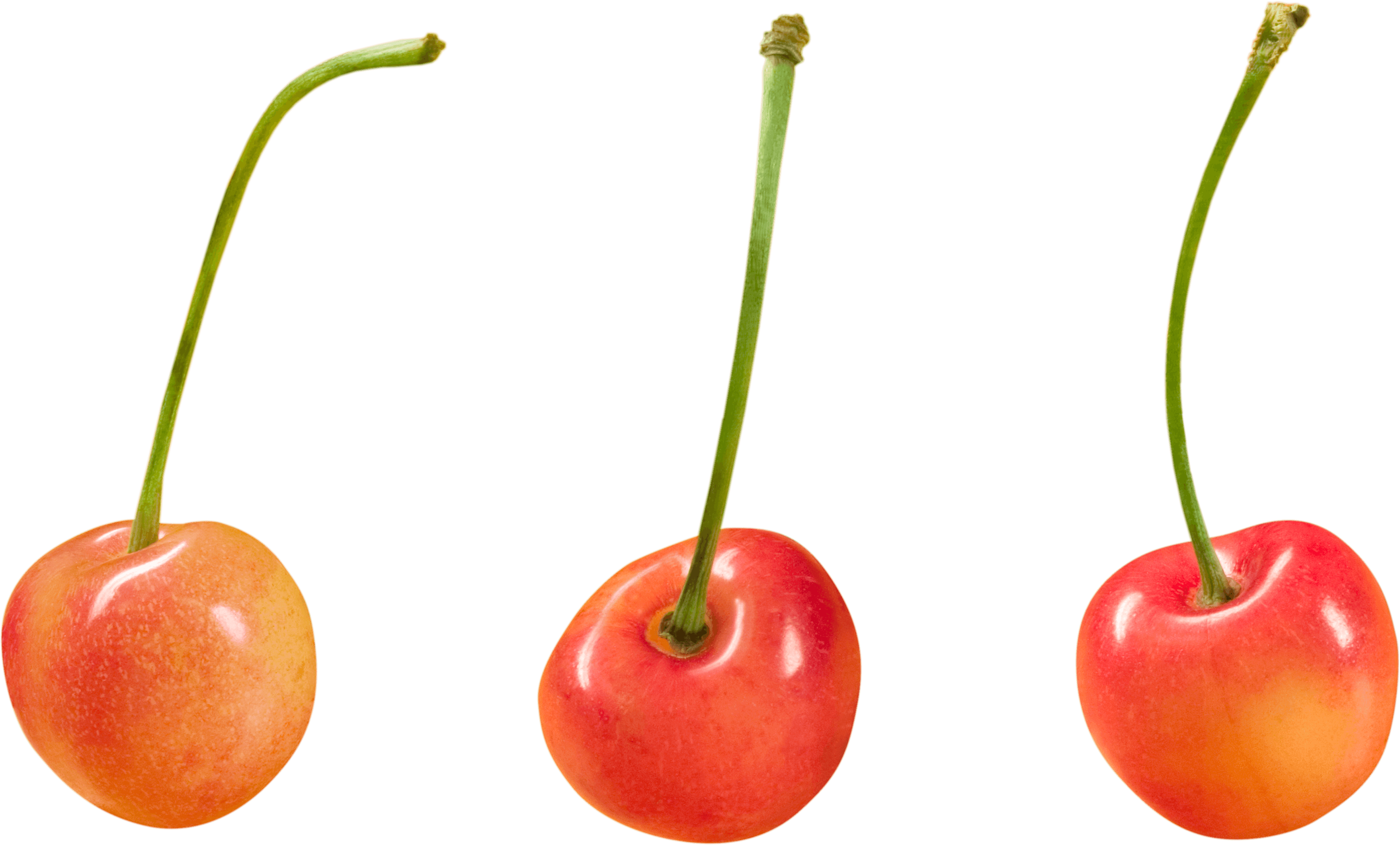 Cherry Png Image Transparent PNG Image