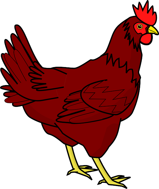 Chicken Transparent Image Transparent PNG Image