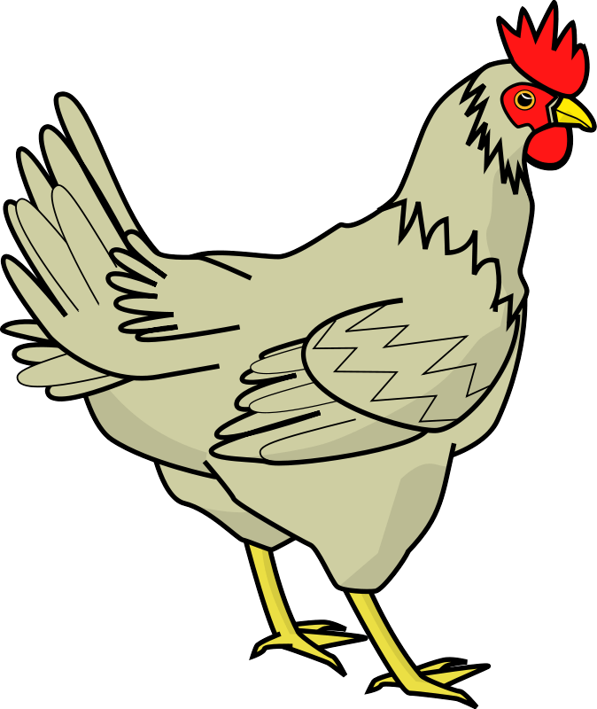 Picture Chicken Png Image Transparent PNG Image