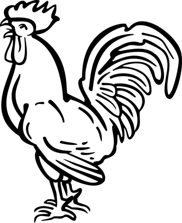 Tattoo Chicken Haan Rooster Download HQ PNG Transparent PNG Image